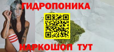 гидропоника Гудермес
