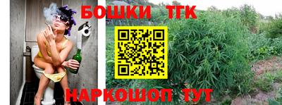 тгк Долгопрудный