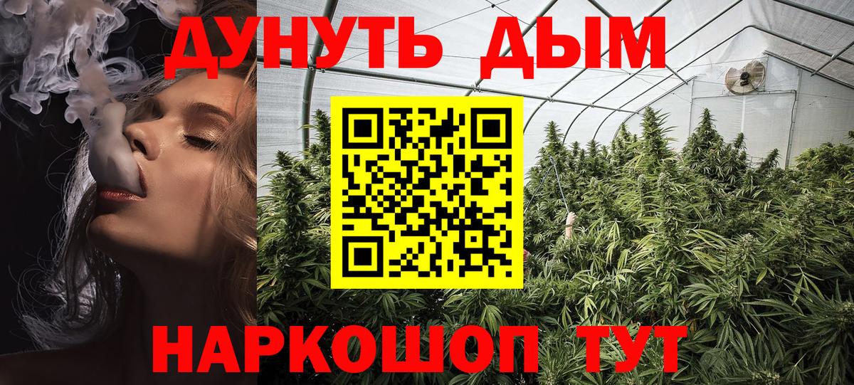 МАРИХУАНА семена  Вход с VPN  Городец  МАРИХУАНА семена  Бошки марихуана SATIVA & INDICA 
